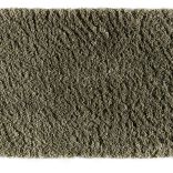 Bold Indulgence carpet - 026